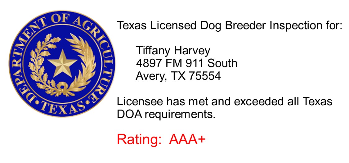tiffany, harvey, dog, breeder, TXDOA, inspections, tiffany-harvey, dog-breeder, avery, tx, texas, aussie, australian, shepherd, mix, mini, miniature, aussiedoodles, puppy, mill, puppymill, usda, inspection, records, kennel